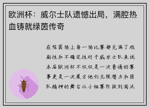 欧洲杯：威尔士队遗憾出局，满腔热血铸就绿茵传奇